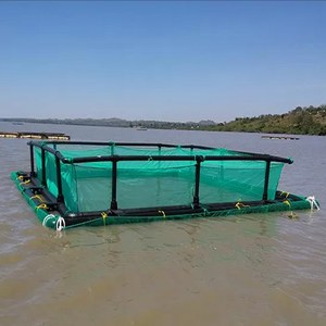 Sıcak satış çin <span class=keywords><strong>10</strong></span> yıl hizmet ömrü % 100% HDPE naylon yüzen balık ağı kafesi Tilapia balık yetiştiriciliği kafesi