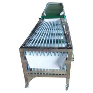 Máquina clasificadora de verduras y frutas, máquina calibradora de clasificación de frutas y aguacate, máquina clasificadora de grado de tamaño de fruta hecha en China - Product Image 4