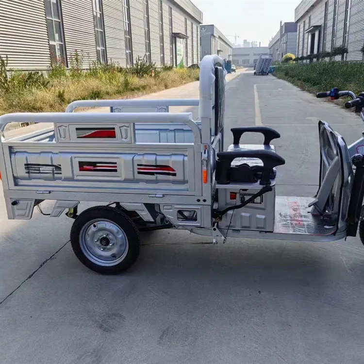 Conception populaire 60V Cargo Trois Roues Trike Électrique 800W Tricycle Moto Pour Adultes