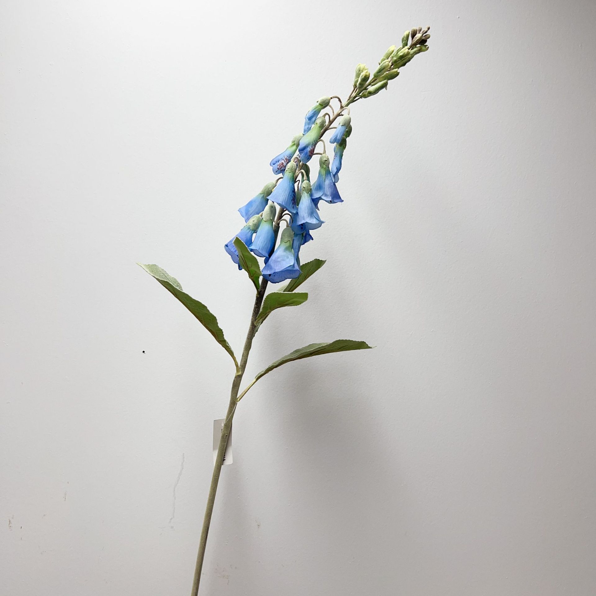 Blu-chiaro