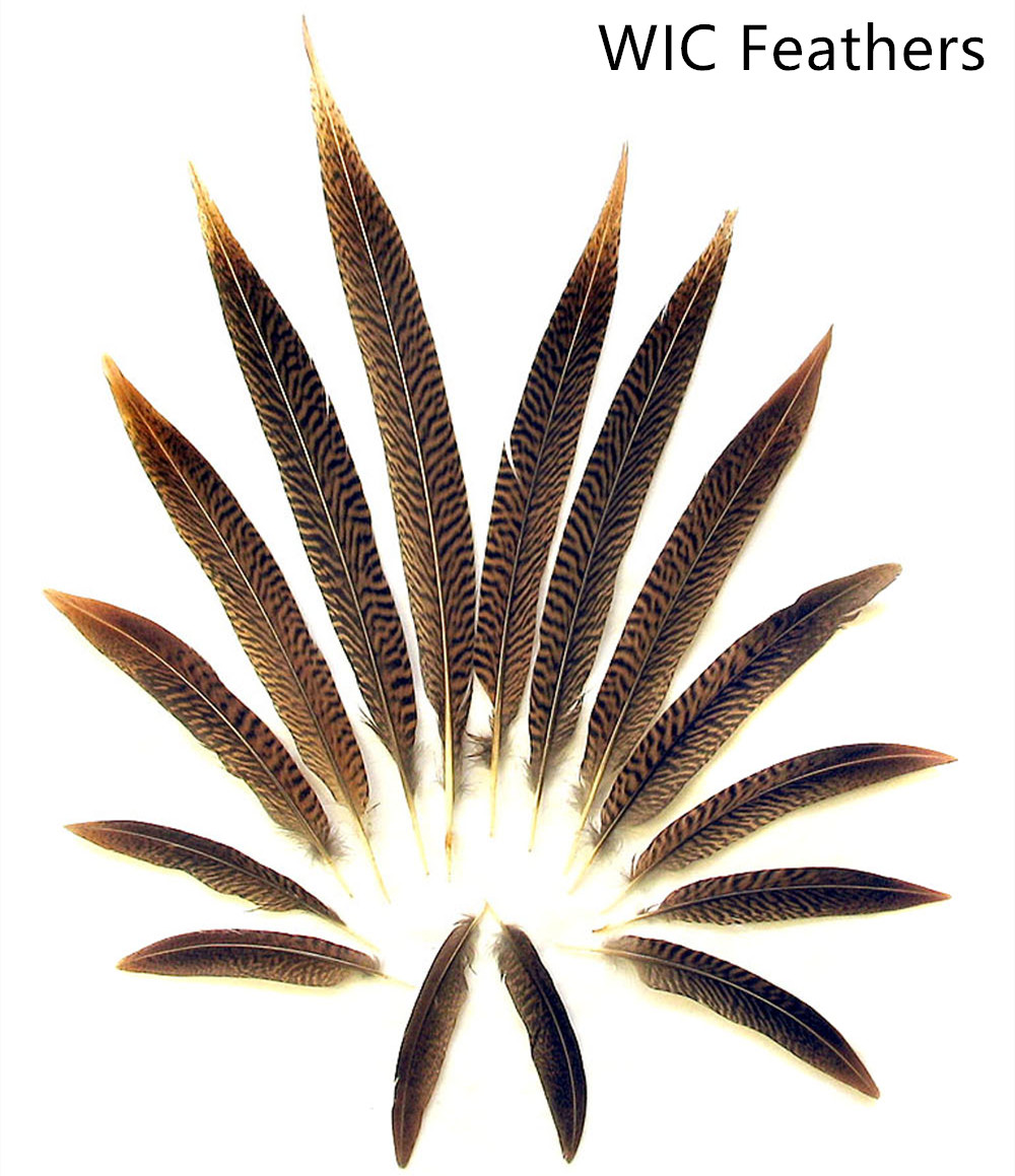 15-20cm/6-8in