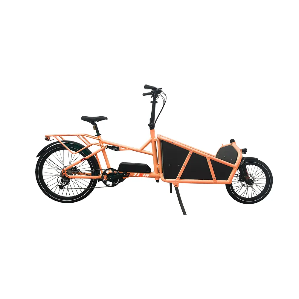 2024 yeni elektrikli kargo bisikletleri 2 tekerlekler kargo bisiklet elektrikli ebike e-kargo aile e bisiklet kargo 250w Bafang Motor uzun john bisiklet