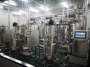 What Is Vvm in Fermenter <strong>Function</strong> of Temperature Probe in Bioreactor Fermentador Tricoderma - Product Image 4