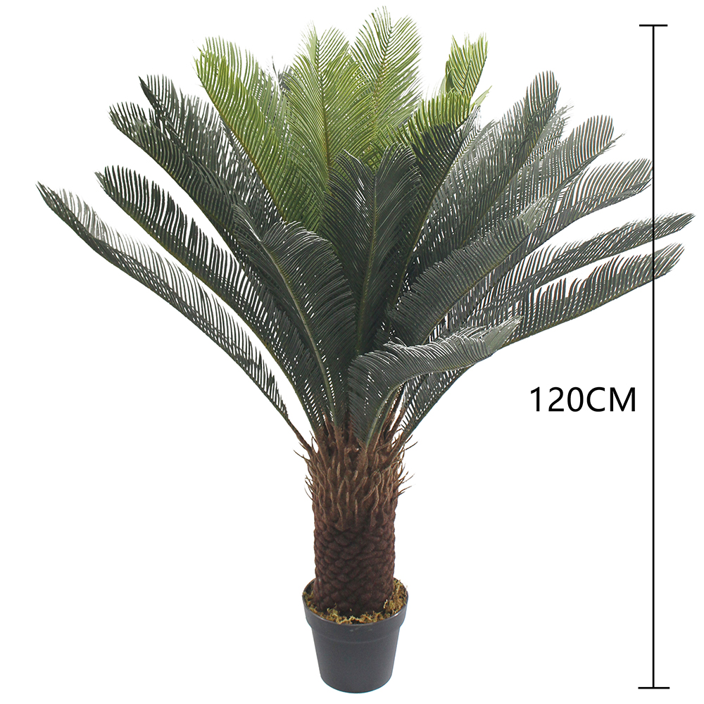 120CM