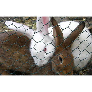 Verzinktes sechseckiges Draht geflecht für Geflügel netze und landwirtschaft liche Zäune Sechseckiges Draht geflecht - Product Image 5