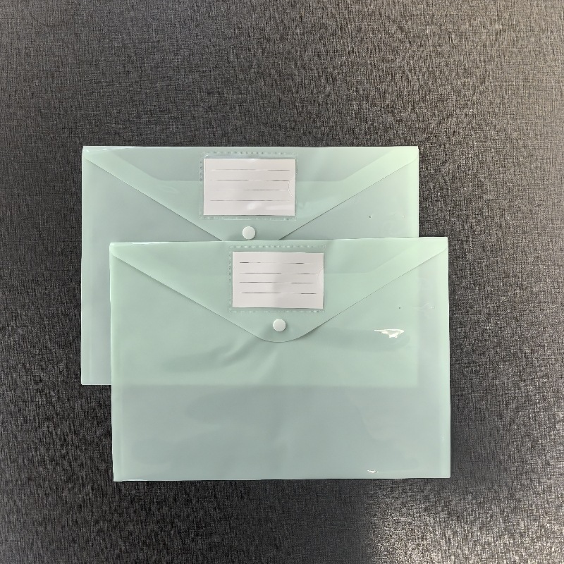 Green semi transparent label file bag