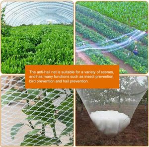HDPE de alta calidad, red antienvejecimiento para pájaros y huertos, red antigranizo, red de protección para estanques de plantas agrícolas para jardín vegetal - Product Image 4