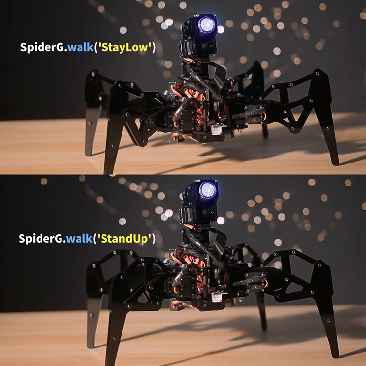 Stem Quadruped Spider Raspberry Pi Robot Python Programming Mobile App Co<i></i>ntrol Large Probe Robot