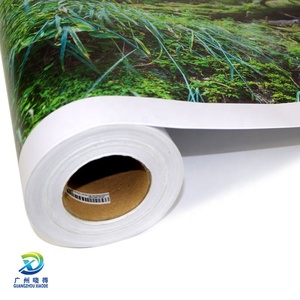 PVC döküm vinil yazdırılabilir kendinden yapışkanlı vinil rulolar dijital baskı medya - Product Image 6