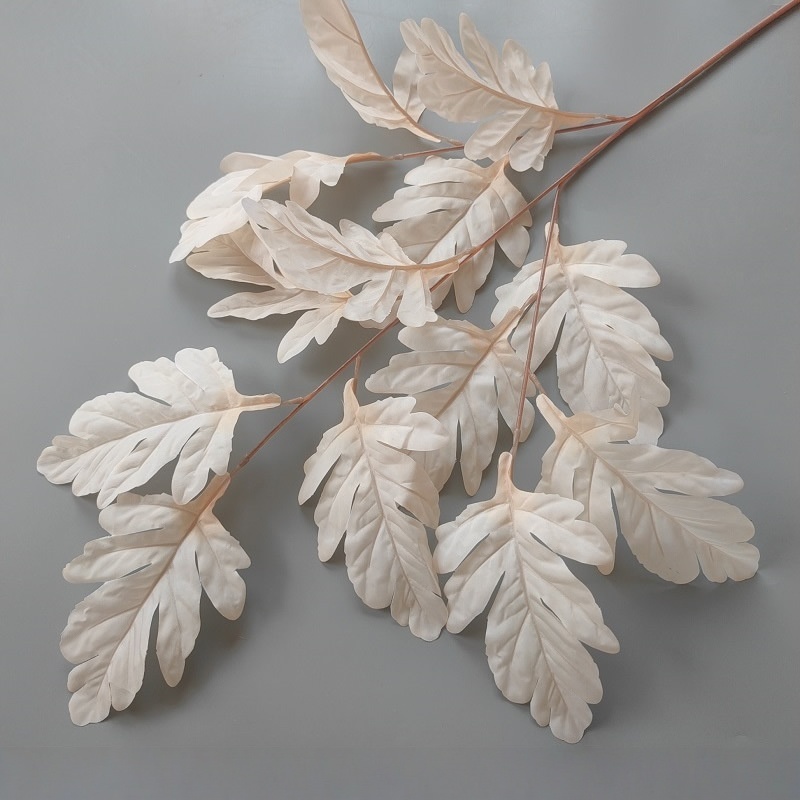 Feuilles de coquille