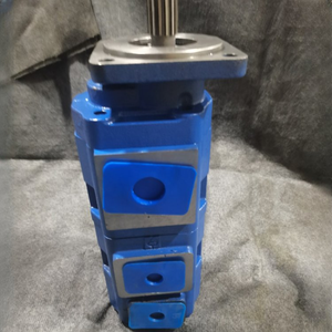 המחיר הטוב ביותר הידראולי משאבות ציוד 1115051925-c0u000 1115143c20 (P370-1) משאבת שמן - Product Image 5