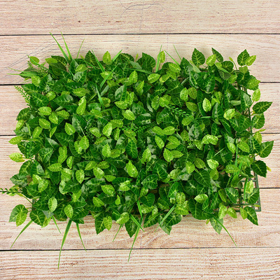 Feuille verte