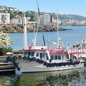 Kapal pesiar kabin baja 20 M/64 kaki Catamaran 50 kecepatan penumpang <span class=keywords><strong>Barge</strong></span> feri dengan Motor untuk kerajinan pendaratan perahu - Product Image 4