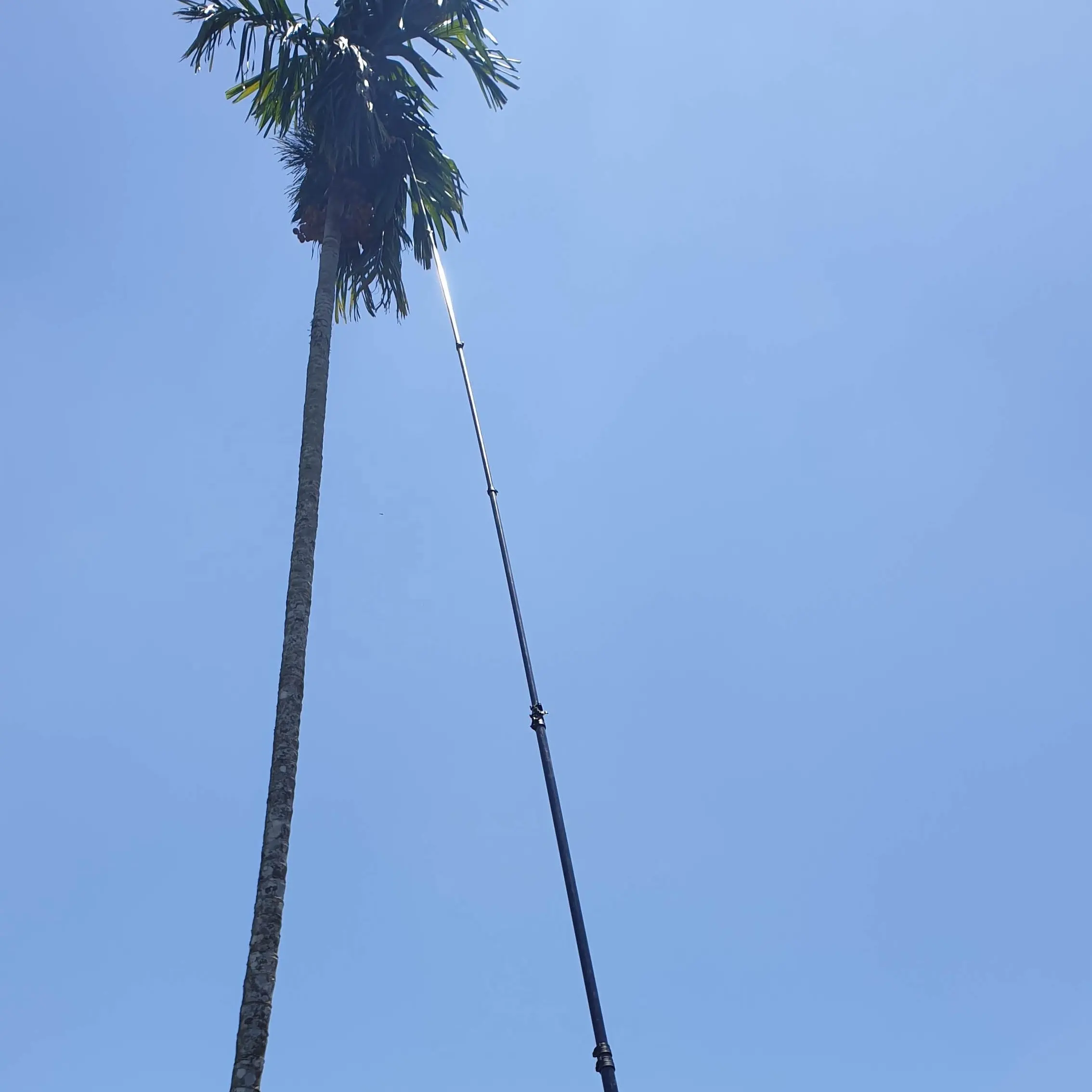 30ft ~ 80ft 100% in fibra di carbonio telescopica areca dado raccolta pole