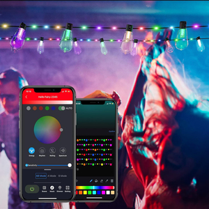 US 31ft <strong>Multi</strong> <strong>Color</strong> Christmas <strong>Lights</strong> Rgb Led Pixel <strong>String</strong> <strong>Light</strong> ST38 Bulb Waterproof Led Curtain <strong>String</strong> <strong>Light</strong> - Product Image 5