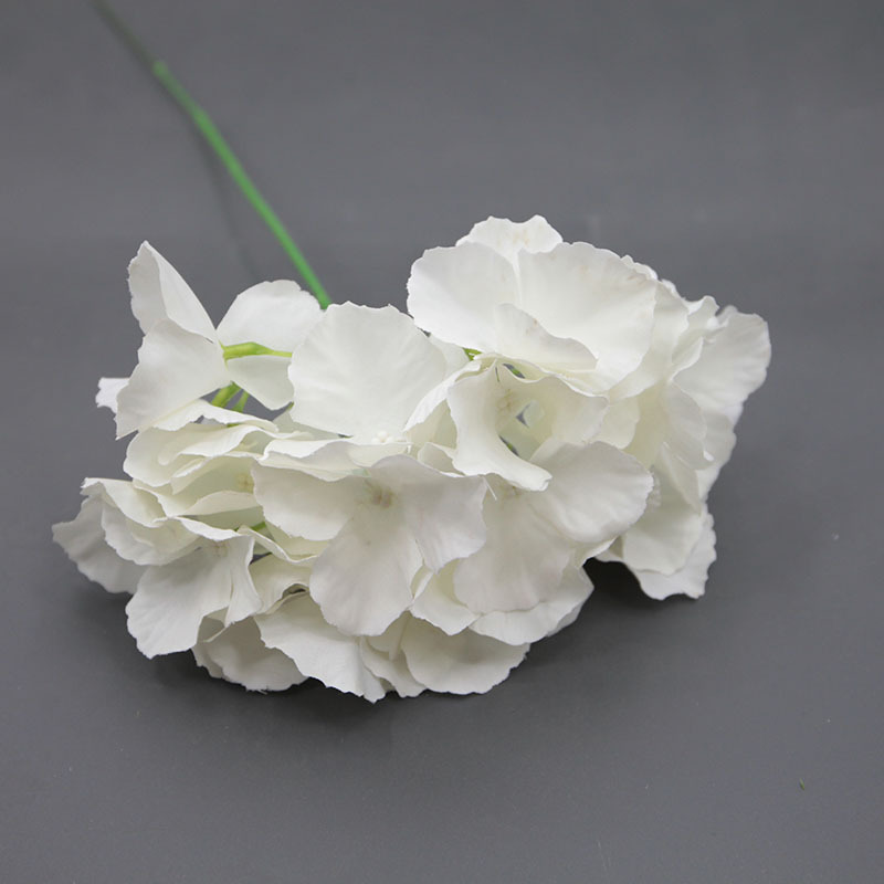 Blanc avec des branches