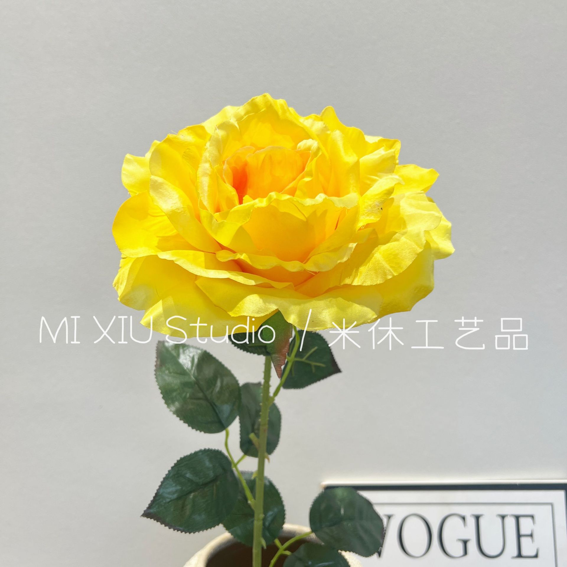 Rosa Grande de Ensueño