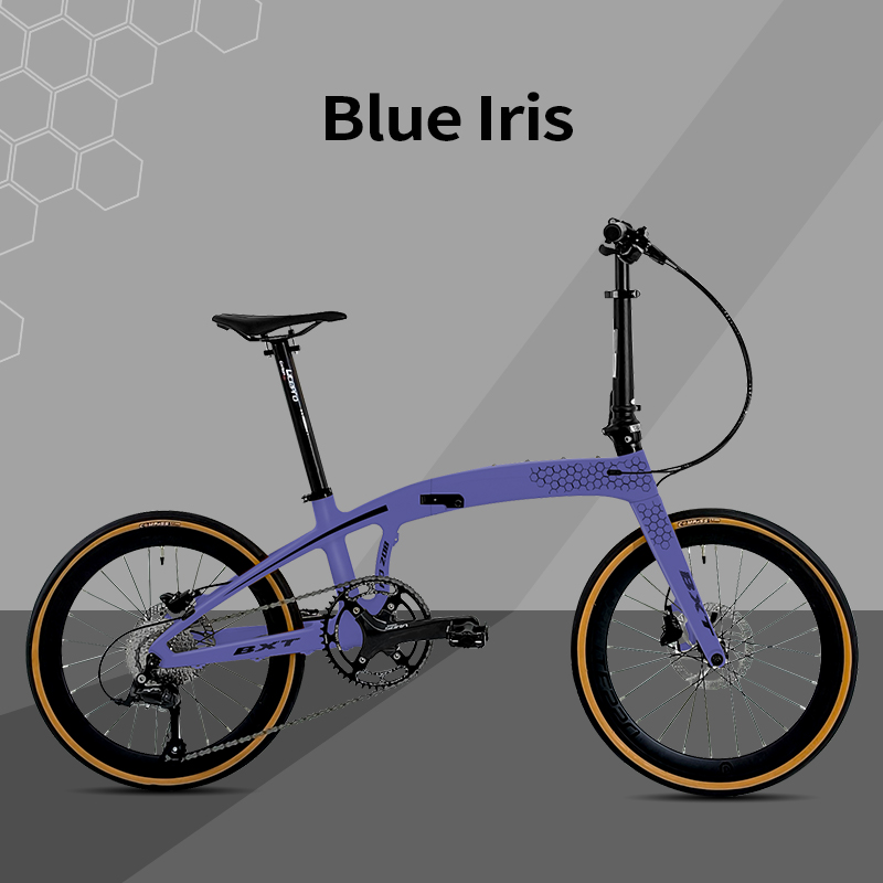 BXT Iris bleu