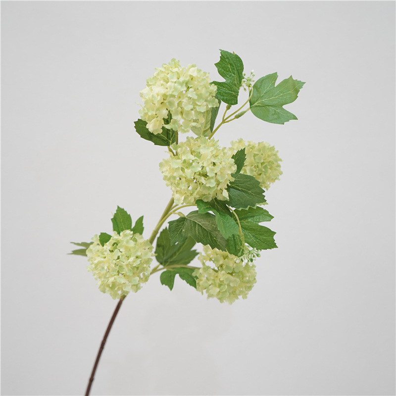 5 to snowball-light green