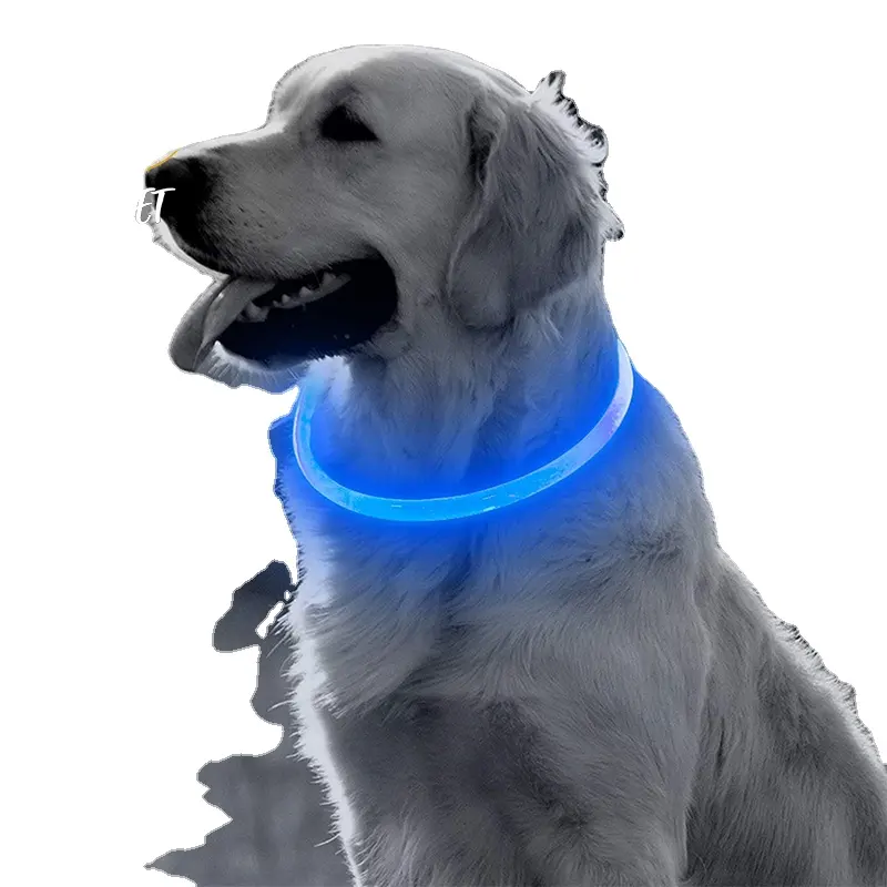 Produttore LED collare per cani ricaricabile Light Up collare per cuccioli collana per cani incandescente tagliabile per cani