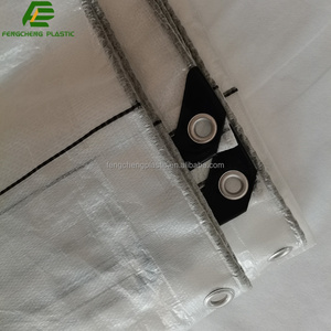 Telo in tela intessuto in HDPE trasparente per uva copri pioggia foglio con fori - Product Image 4