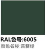 RAL6005