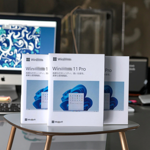 Win11 Pro OEMキーオンラインアクティベーションファクトリー新しいリカバリUSBインストール日本版 - Product Image 1