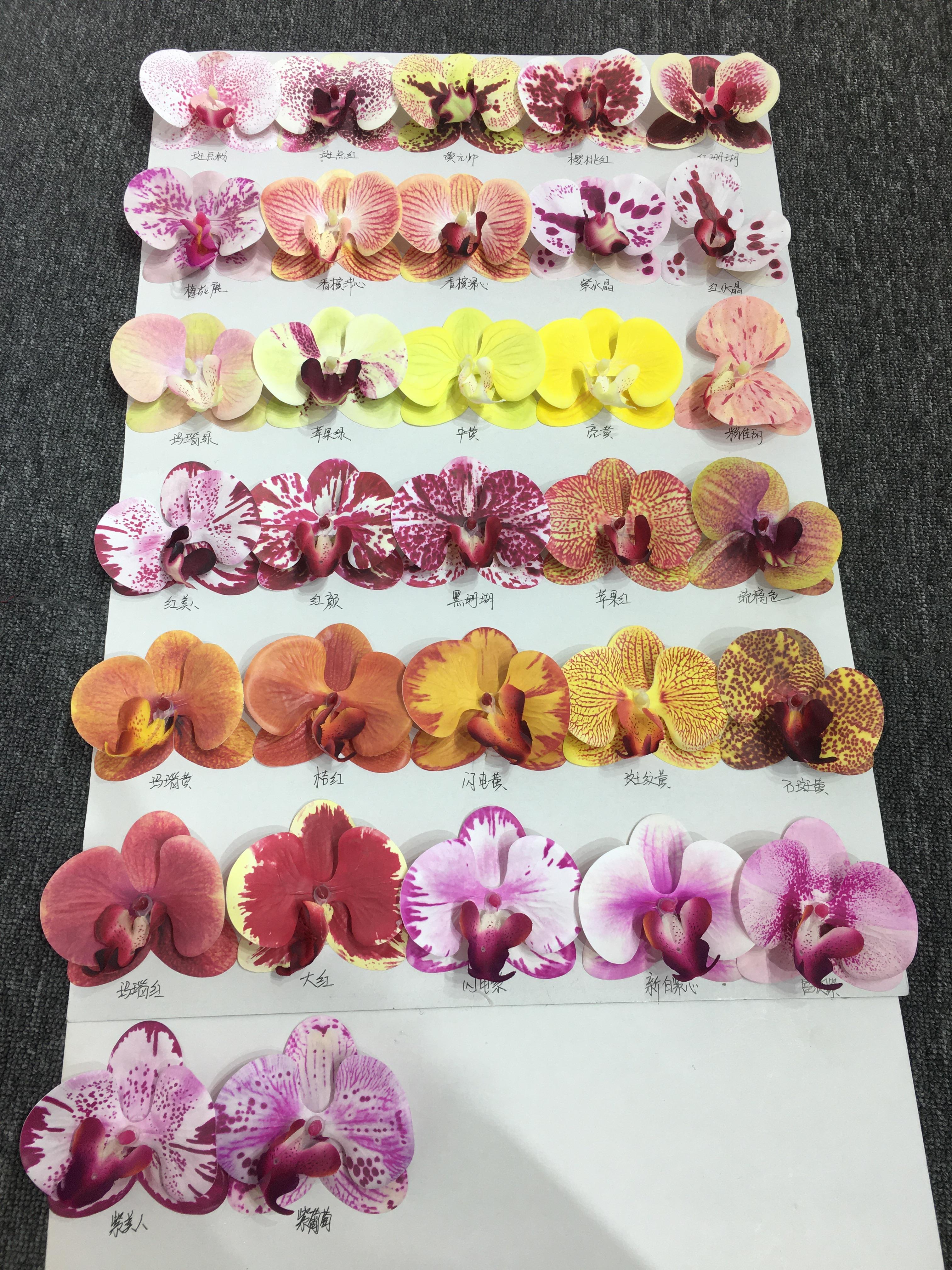 Carte couleur 1
