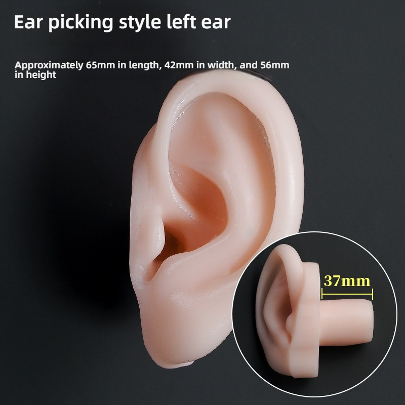 Oreille gauche