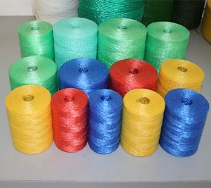 High Strength 3mm Plastic PP Polypropylene Raffia Packing Rope Tamato Twine
