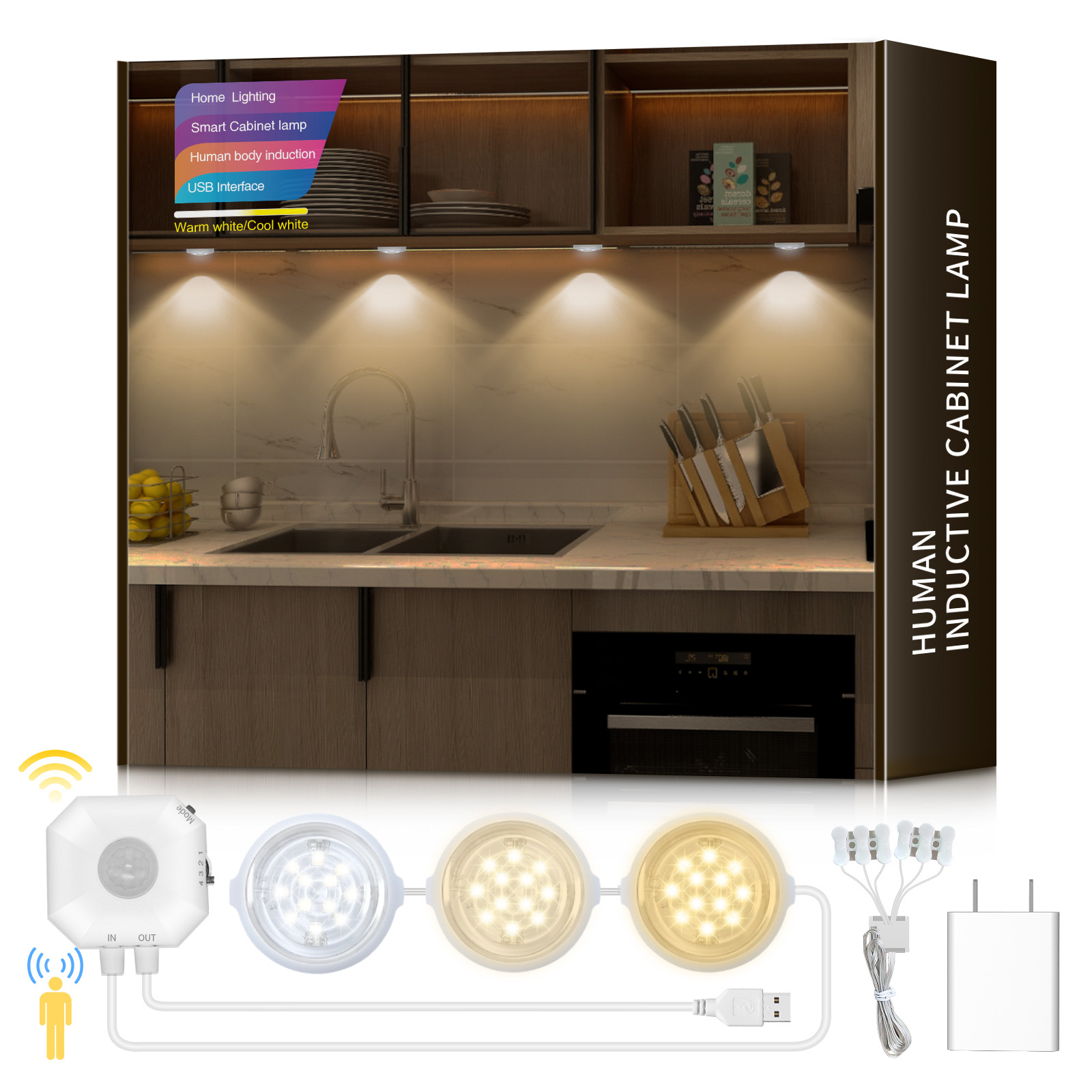 ตัวควบคุมการตรวจจับร่างกายมนุษย์ (วงกลม)