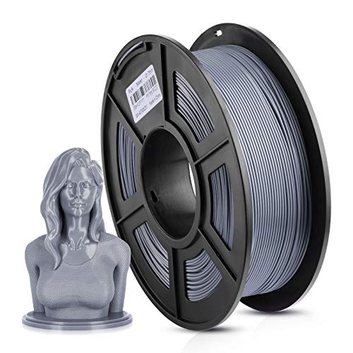1kg Pla Silver