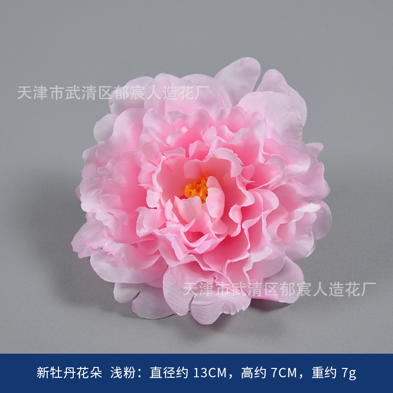 Nouvelle poudre légère de fleur de pivoine