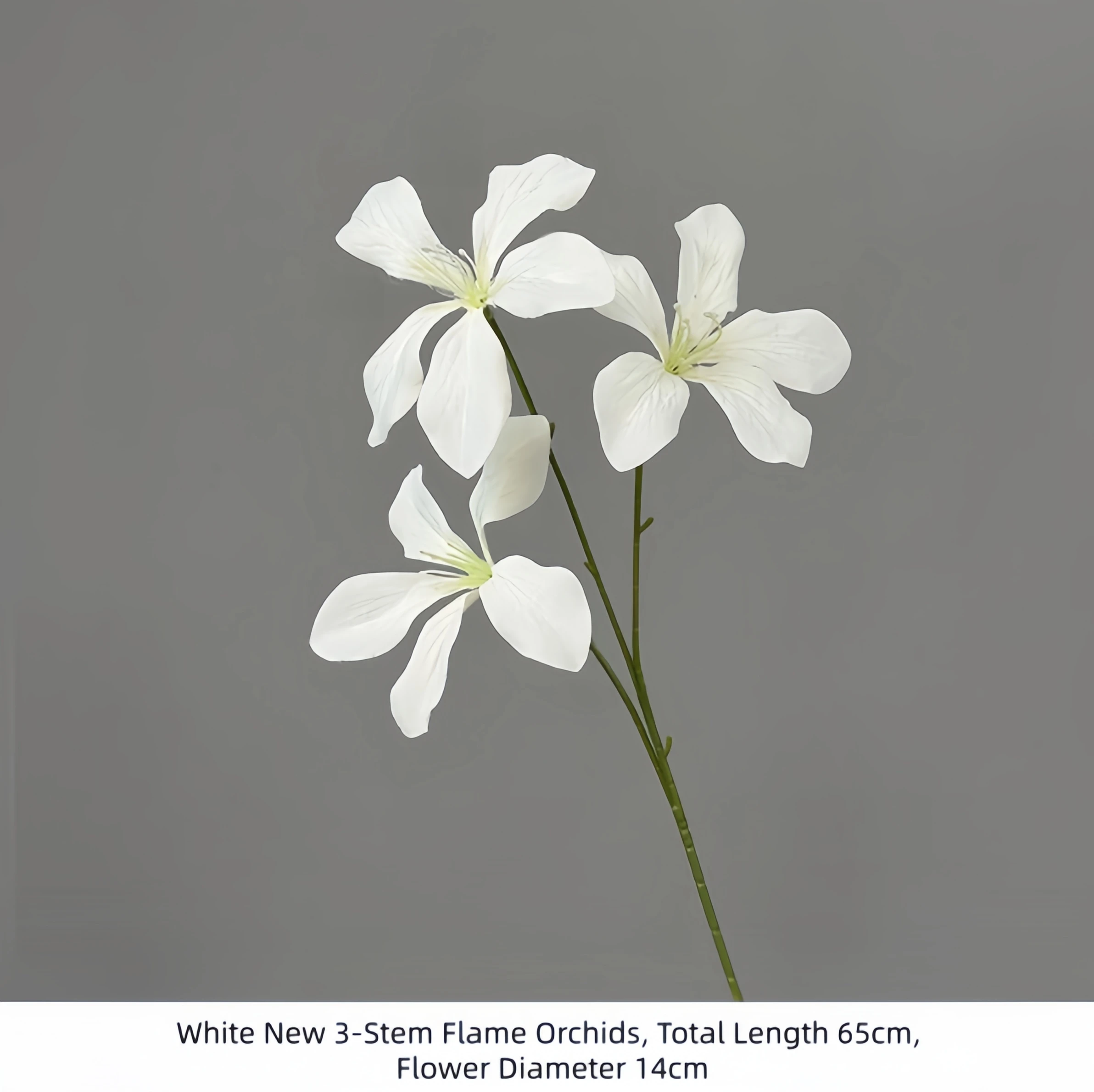 Orchidées à flamme blanches à 3 tiges