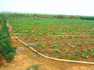 设计0.5Ha 1 Ha 2Ha农业滴灌自动农场滴灌系统 - Product Image 3