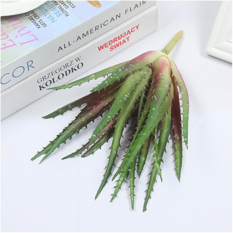 Aloe vera rouge dentelé 23cm 105,5g