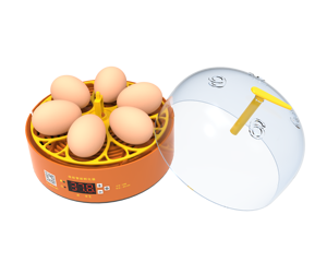 小型容量6卵インキュベーター家庭用2025コンパクト軽量PP素材 - Product Image 2