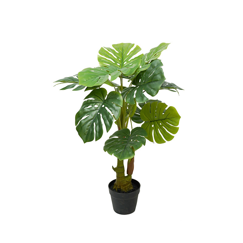 Verde-TZL2503023