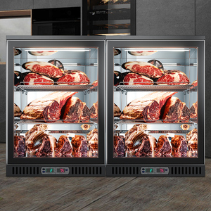 Đặc biệt cung cấp nhỏ gọn di động thịt bò bít tết khô lão hóa tủ lạnh cho Sushi cửa hàng thiết bị điện lạnh - Product Image 5