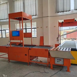 <strong>Automated</strong> Swivel Wheel Sorting <strong>System</strong> Faster Smarter Parcel <strong>Handling</strong> Sorting for E-commerce Logistics Operation - Product Image 2