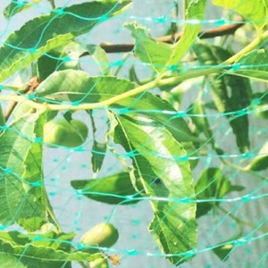 鶏小屋のための家禽の網、庭の保護のための頑丈なPEの網アンチバードネット - Product Image 3