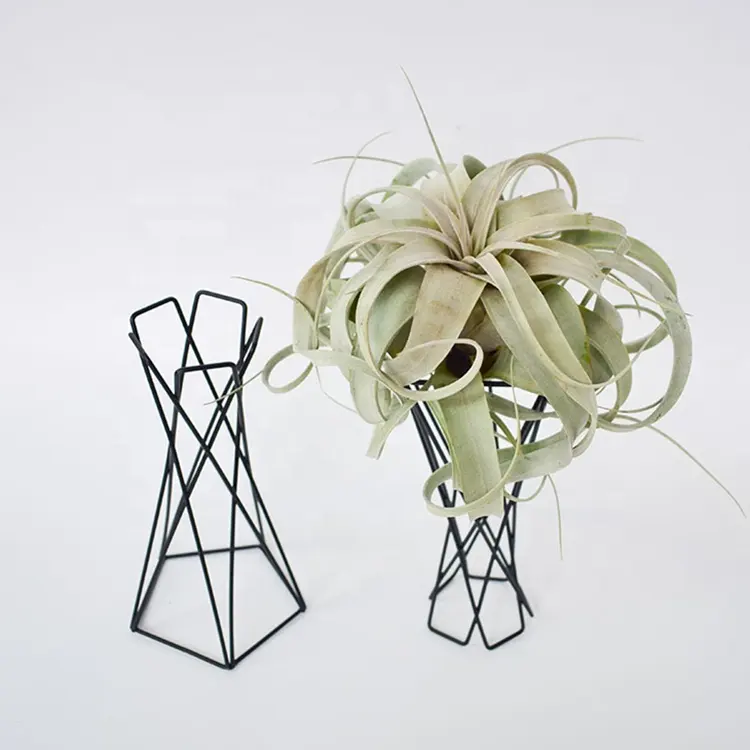 Multi disegni artificiali ananas aria erba pianta bromeli non in vaso pianta succulenta finta