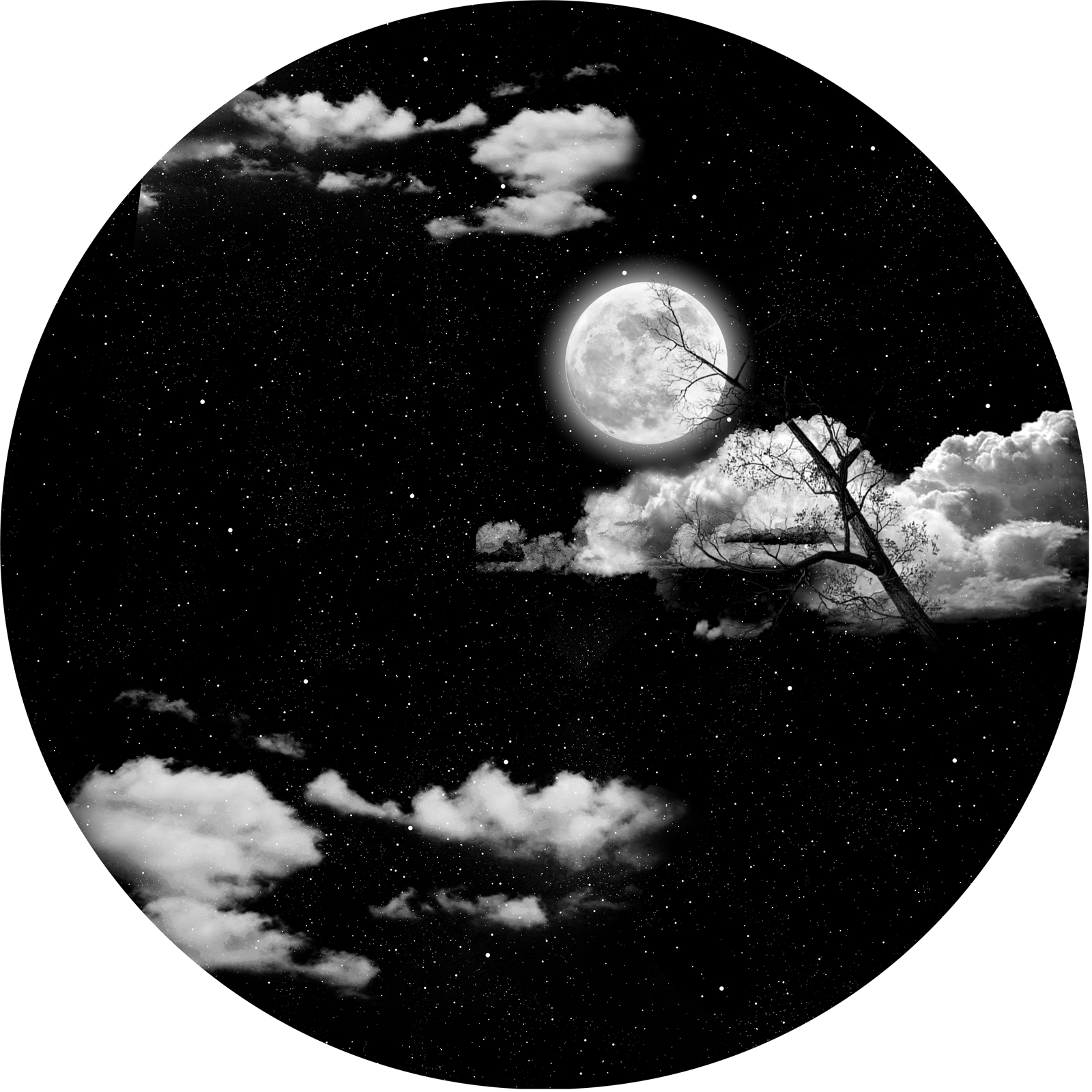 Película en blanco y negro 12