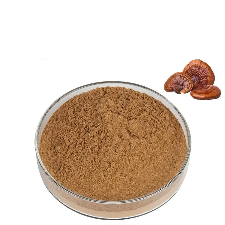 Suministro de fábrica, extracto de Ganoderma lucidum, 300-500Mesh 30, polvo de esporas de hongo Beta glucano Reishi