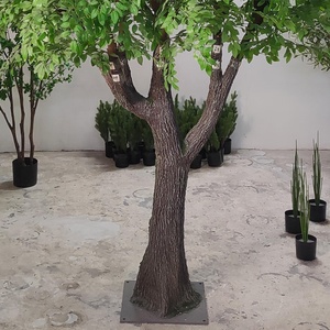 中国の人工ニレの木古い盆栽植物緑風景小道具松の木ガジュマルの木 - Product Image 2