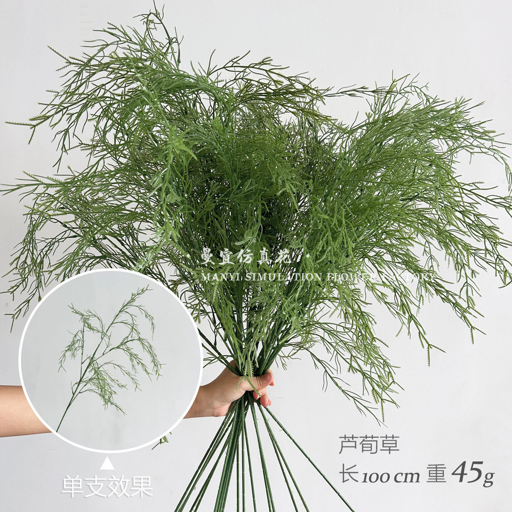 Asparagi a stelo sottile