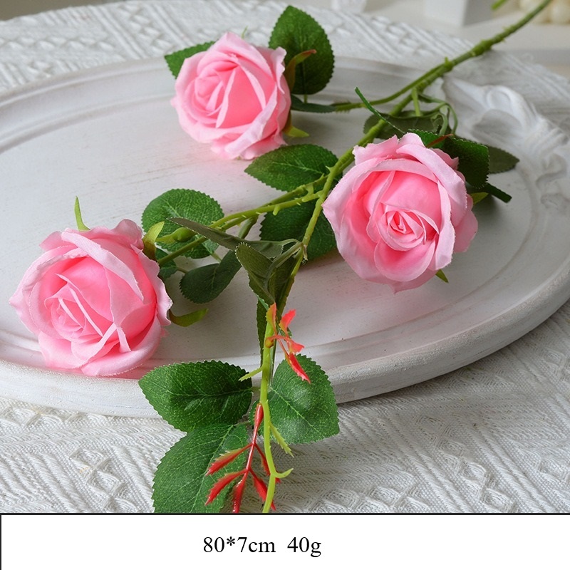 rosa 17
