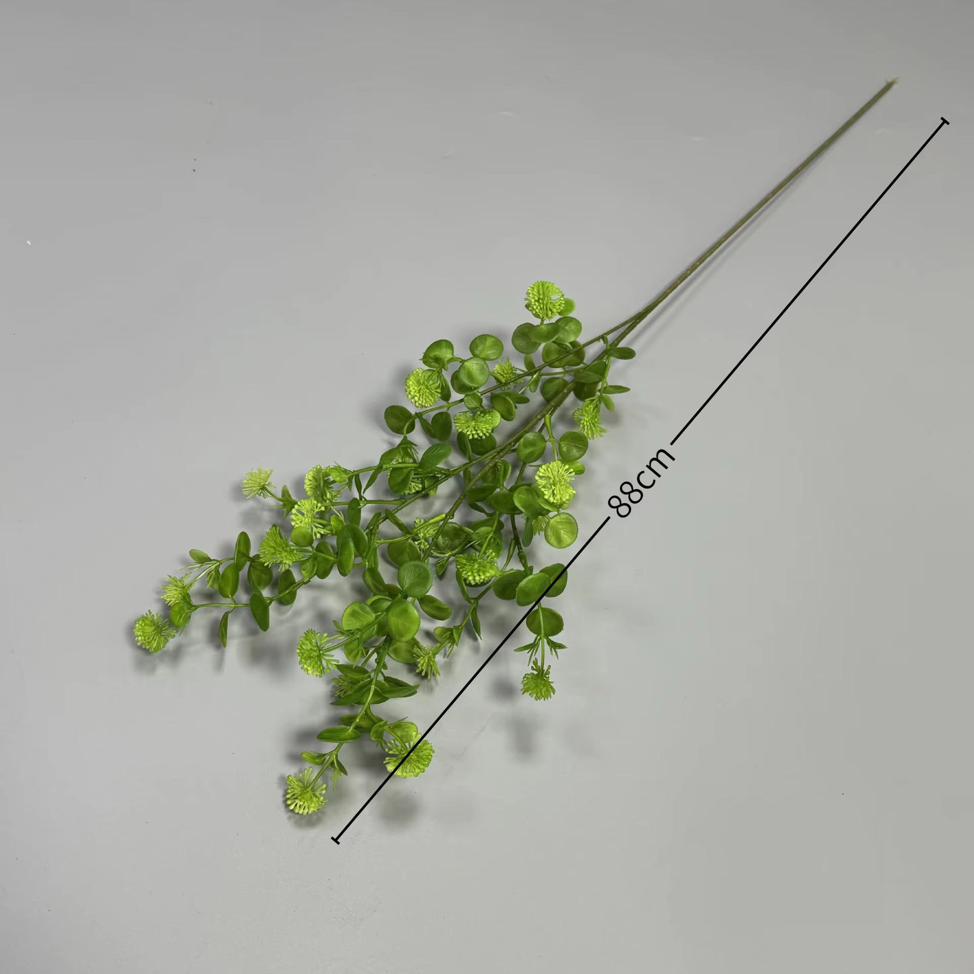 Fruit Dingding vert clair