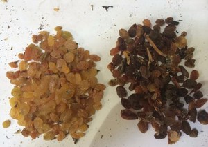 Máquina clasificadora de color de nueces de pistacho, cacahuetes, nueces, almendras, avellanas, clasificador de color, máquina de limpieza - Product Image 5