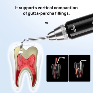 Sistema di otturazione dentale Cordless guttaperca Endo penna riscaldata con 2 punte - Product Image 4